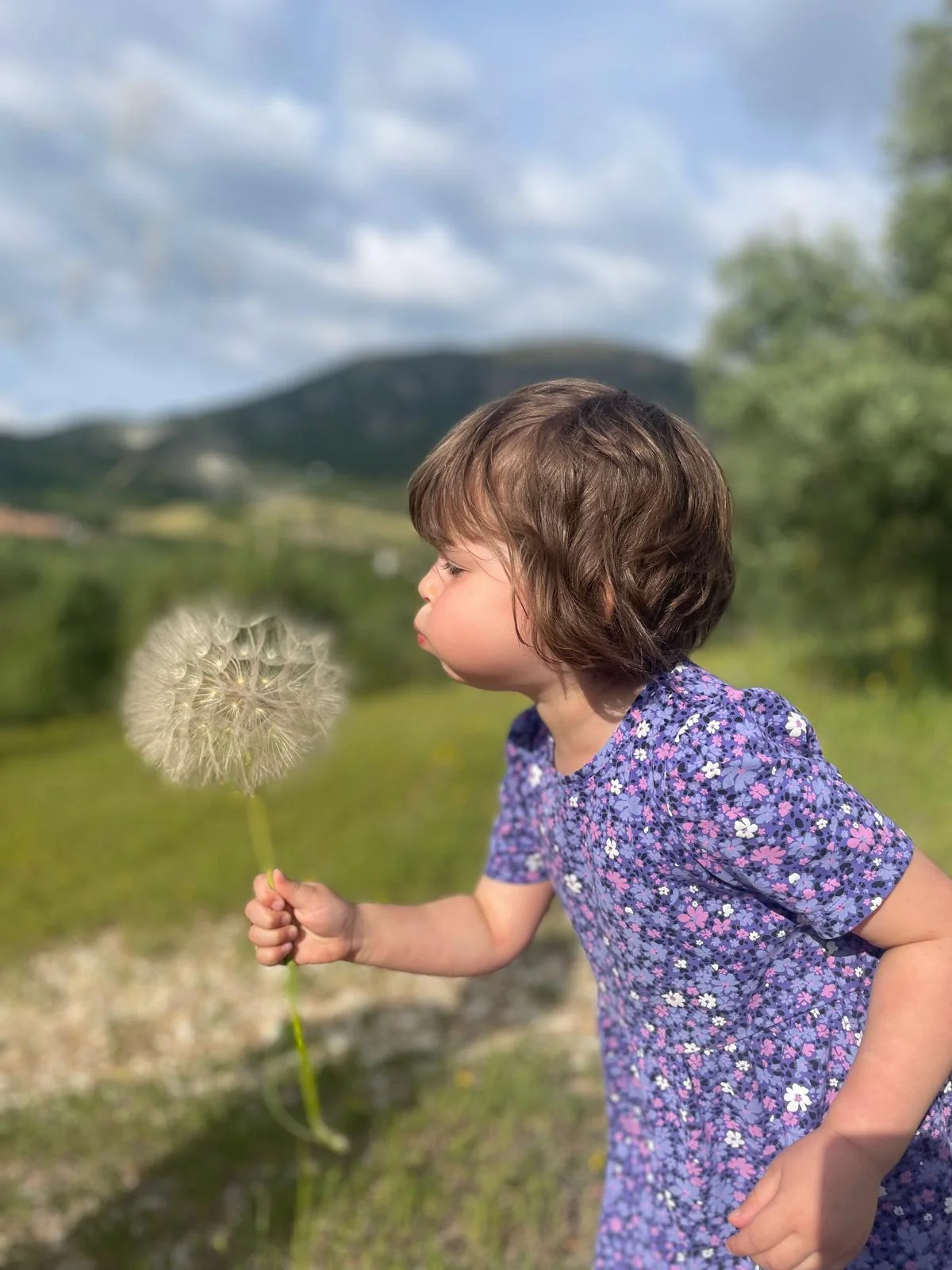 Foto de Maria Jose.jpg